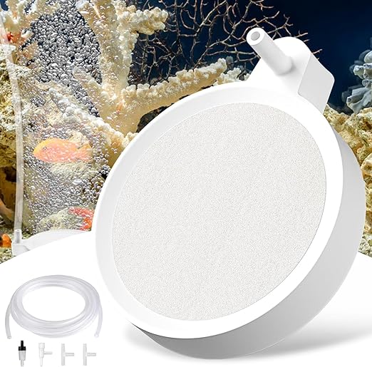 Read more about the article sprudelstein für aquarium