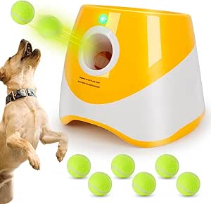 Read more about the article Ball launcher for dogs