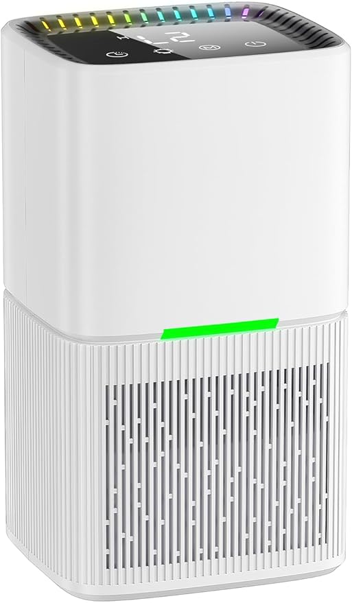 Read more about the article Dehumidifier