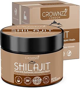 Read more about the article Shilajit