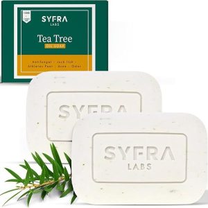 Read more about the article Tea Tree Soap Bar