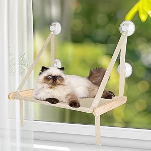 Read more about the article Cat Hammock
