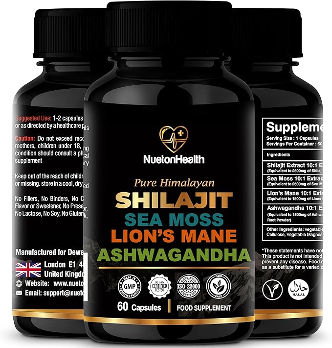 Read more about the article Shilajit