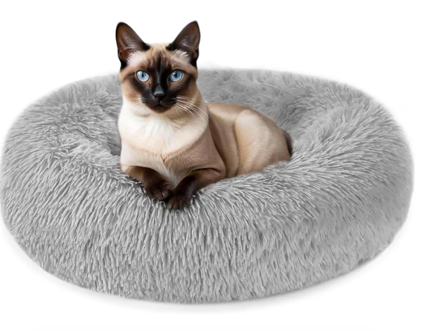 Read more about the article Cat bed