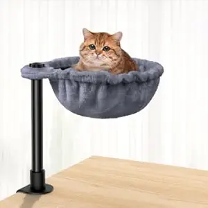 Read more about the article Cat Desk Bed