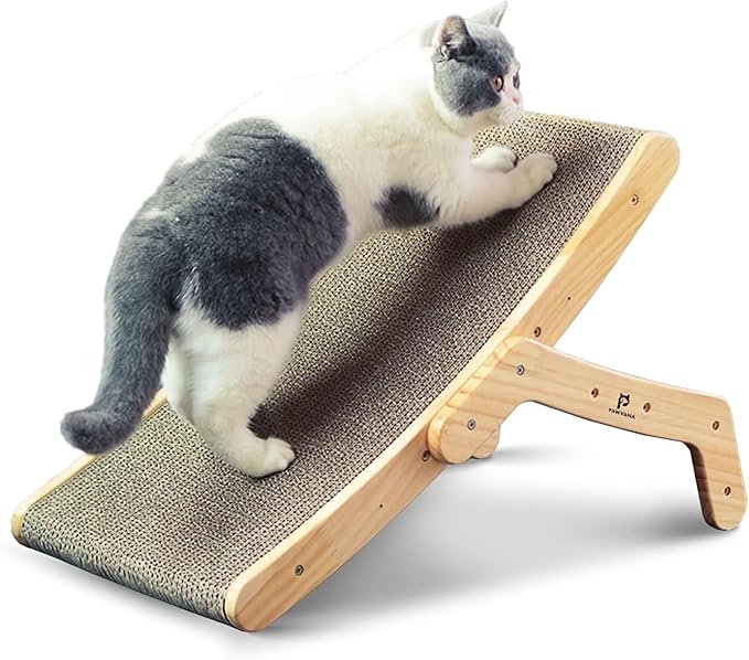 Read more about the article Cat Scratching Board