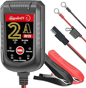 Read more about the article trickle charger