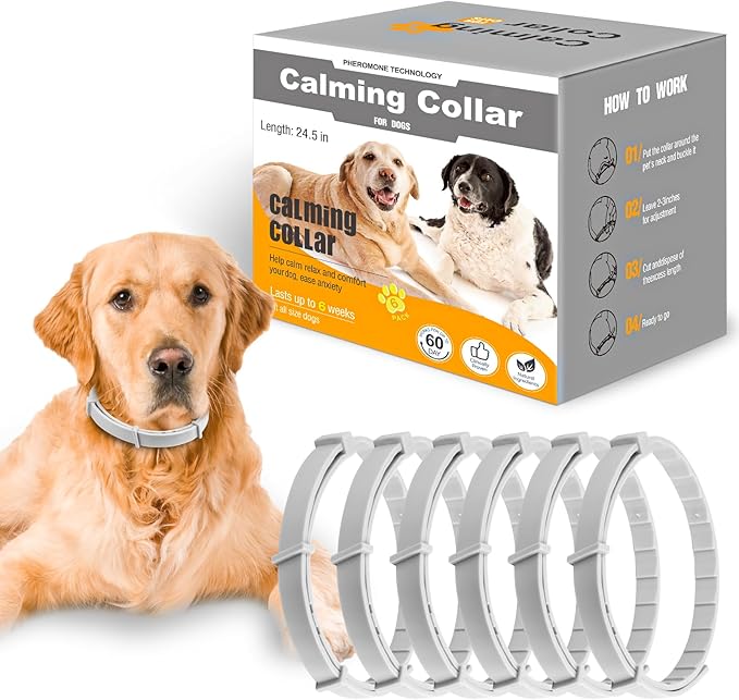 Read more about the article Calming dog collar