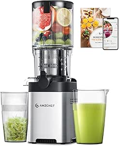 Read more about the article Juicer