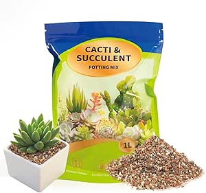 Read more about the article succulent soil