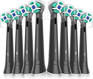 Read more about the article Brush Heads