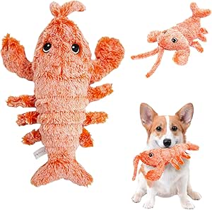 Read more about the article Dog toy