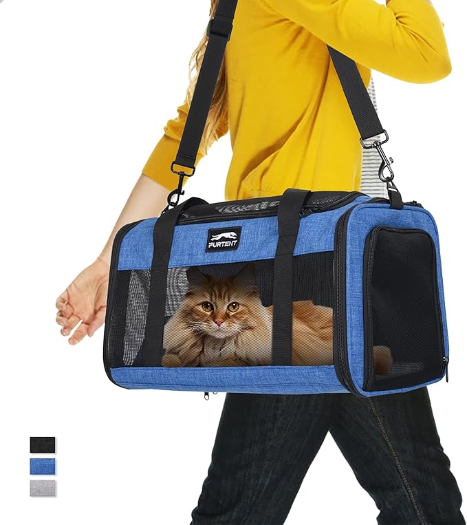 Read more about the article pet carrier soft