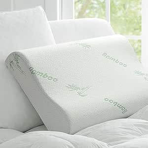 Read more about the article Ecosafeter 2025 Orthopedic pillow