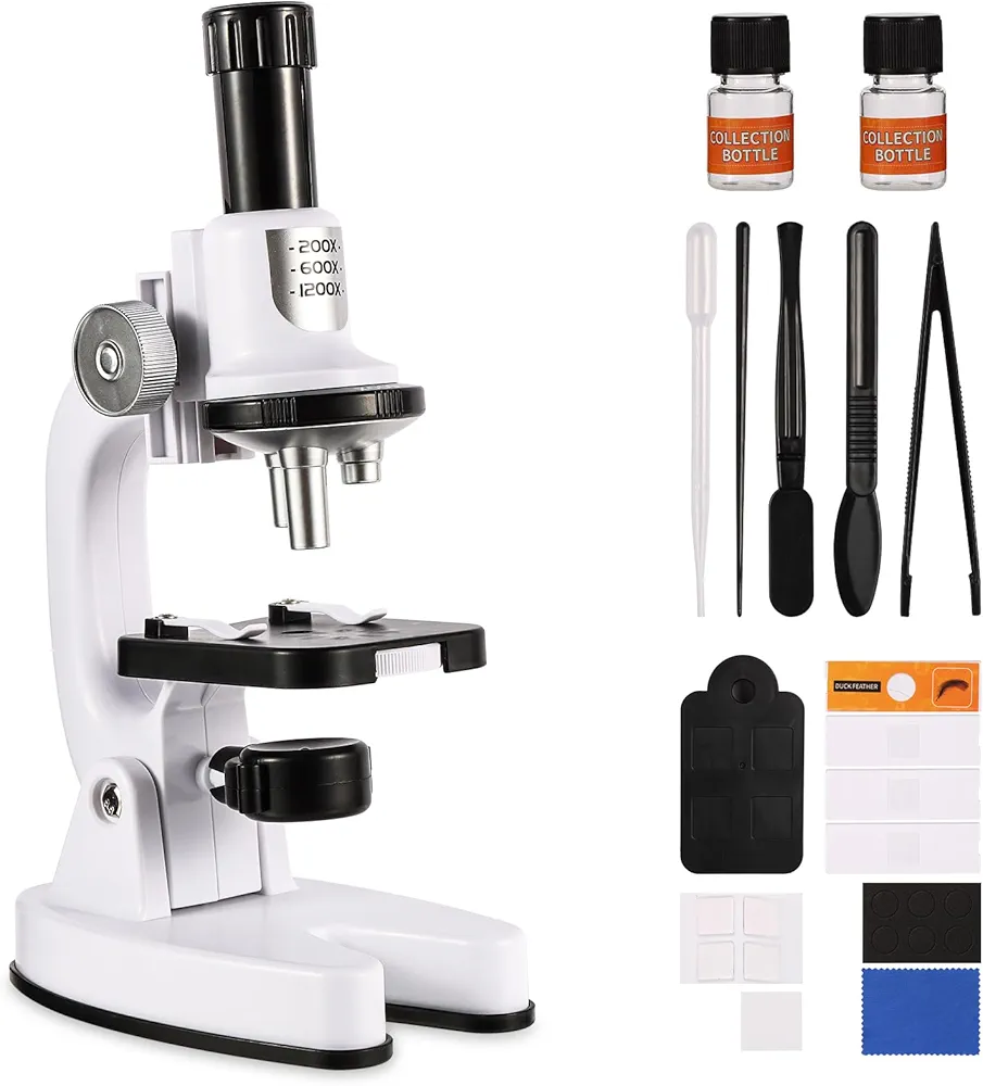 Read more about the article Microscope