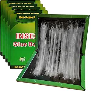 Read more about the article GroZythre mouse sticky pads trap