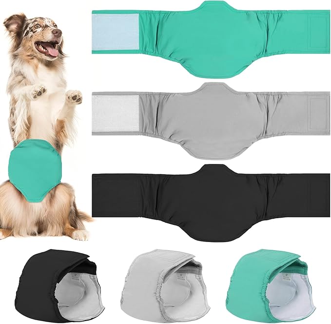 Read more about the article Dog Nappies