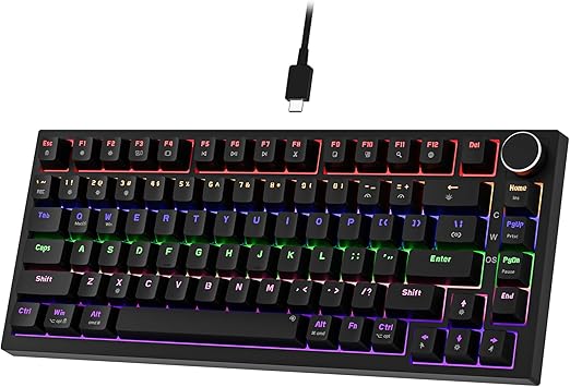 Read more about the article NEWMEN GM326 Mechanical Keyboard,Wired Gaming Keyboard,75% Percent TKL Hot Swappable Compact