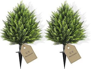 Read more about the article topiaries outdoor set of 2
