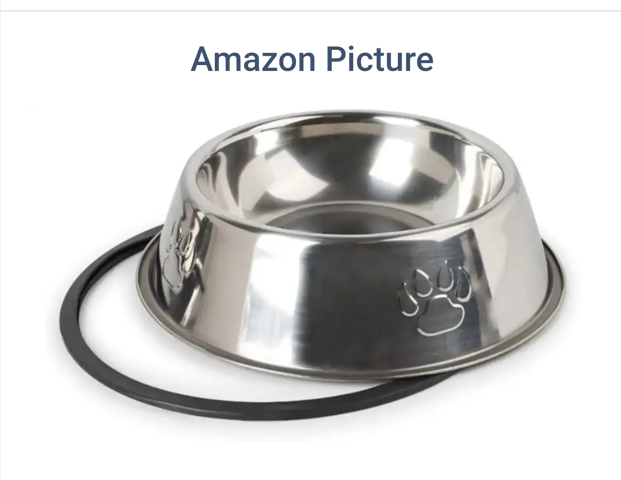 Read more about the article Dog bowl