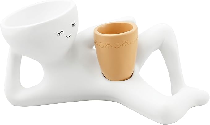 Read more about the article Lazy Guy Planter Succulent Plant Pot