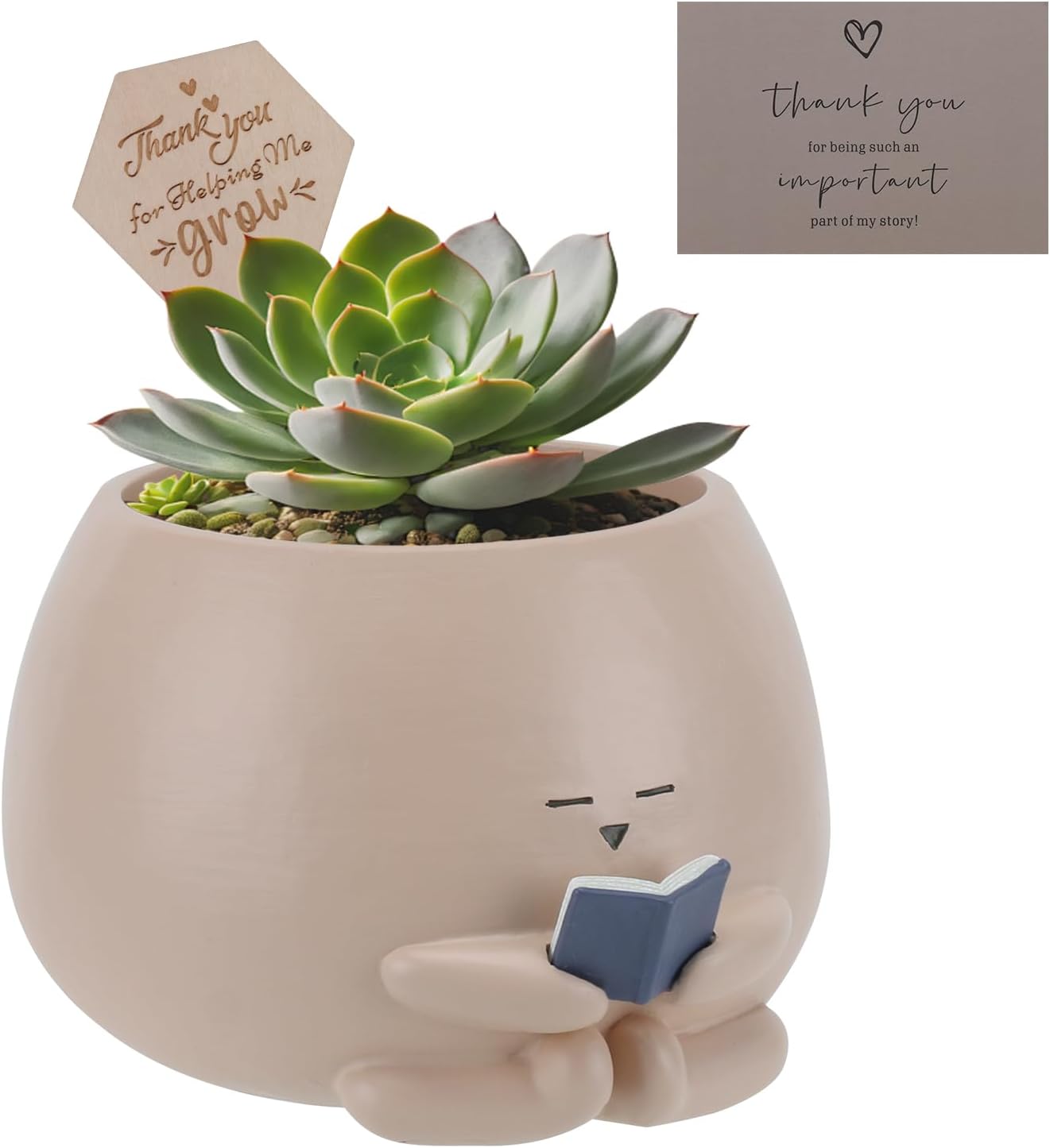 Read more about the article cute small plant pots