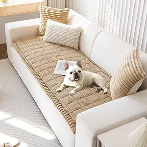 Read more about the article dog couch cover