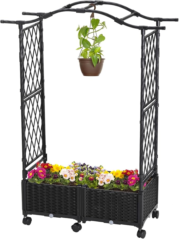 Read more about the article Climbing plants