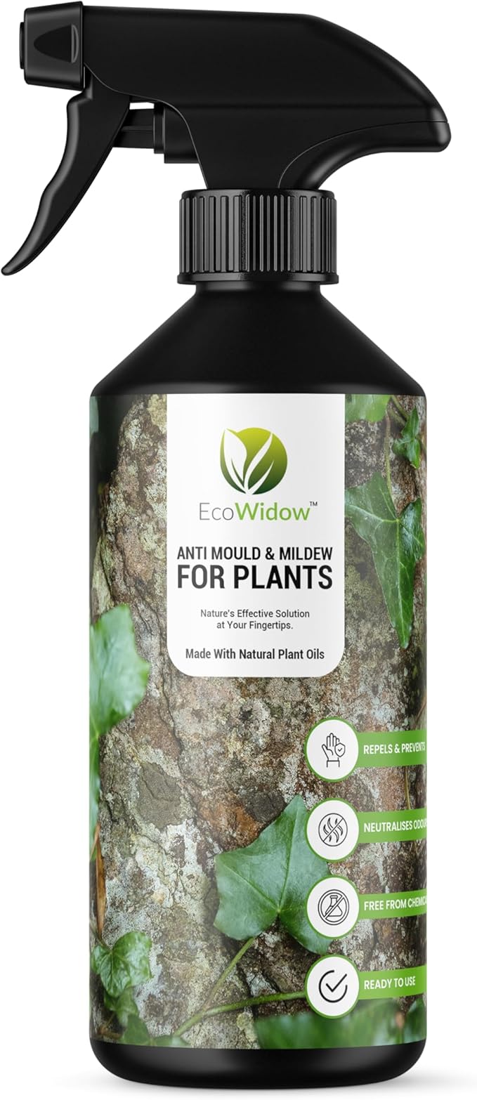 Read more about the article EcoWidow Natural Mould & Mildew Fungicide Remover Spray