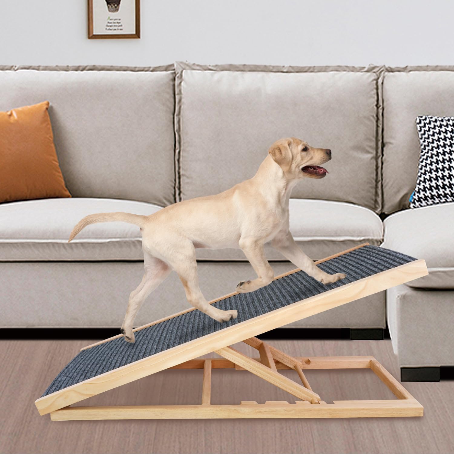 Read more about the article Foldable dog ramp for bed