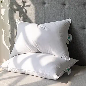 Read more about the article down pillow
