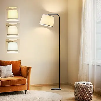 Read more about the article loor lamp