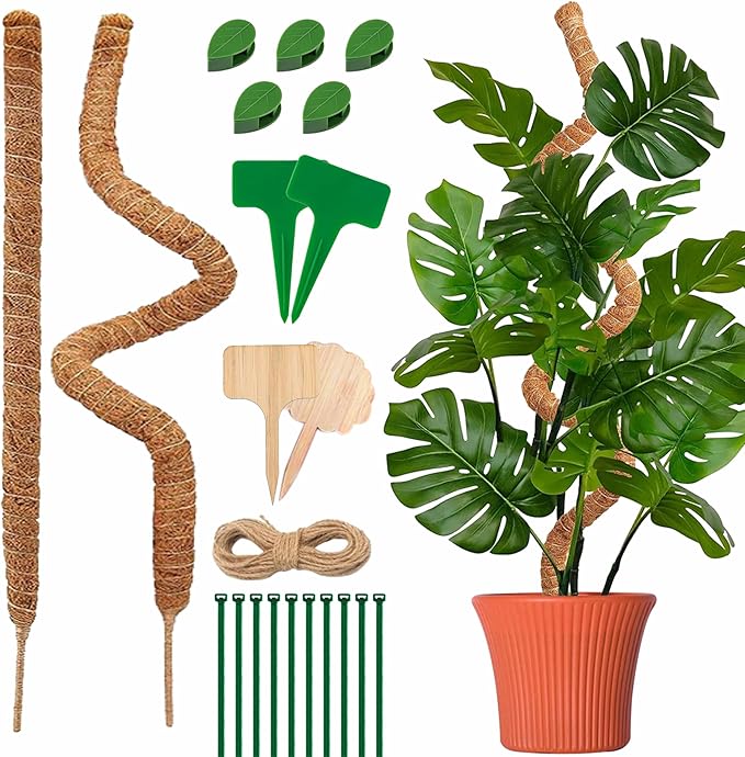 Read more about the article Pack moss pole monstra plant