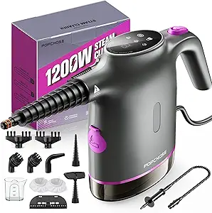 Read more about the article handheld steam cleaner