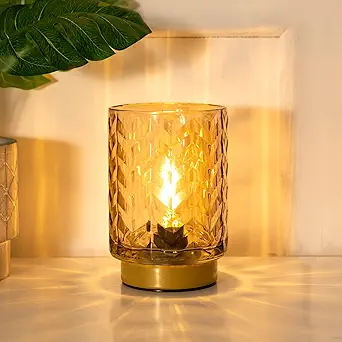 Read more about the article Battery Operated Lamp