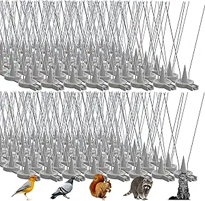 Read more about the article Bird Spikes