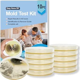 Read more about the article Nevfal	mold test kit for home