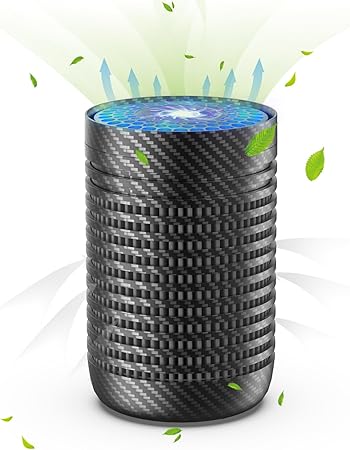 Read more about the article QUEENTY Car Air Purifier