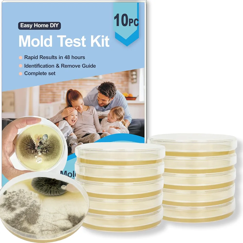 Read more about the article Mold test kit for home