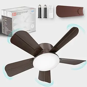 Read more about the article Ceiling Fans with Lights