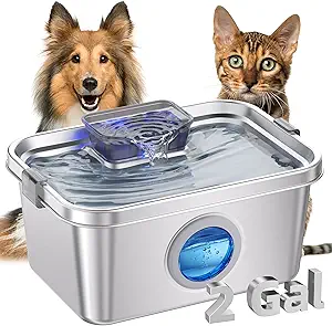 Read more about the article Dog Water Fountain
