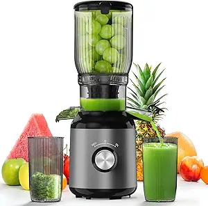 Read more about the article Cold Press Juicer