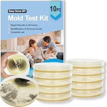Read more about the article Mold Test Kit for Home