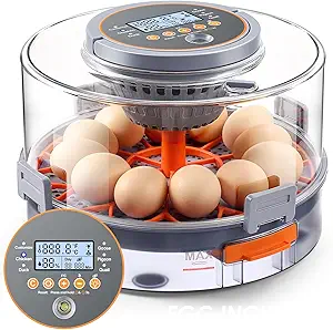 Read more about the article egg incubators for hatching eggs