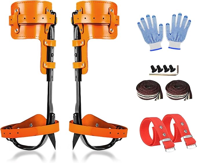 Read more about the article tree climbing gear