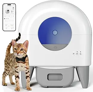 Read more about the article Self cleaning litter box