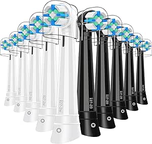 Read more about the article SPATEECO