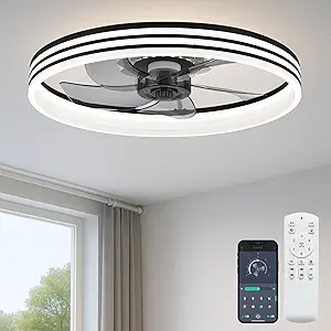 Read more about the article Ceiling Fan with Light