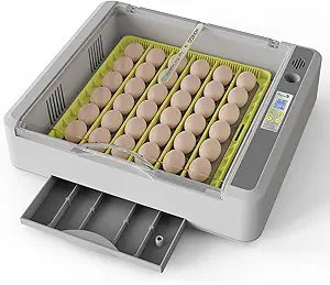 Read more about the article Egg Incubator
