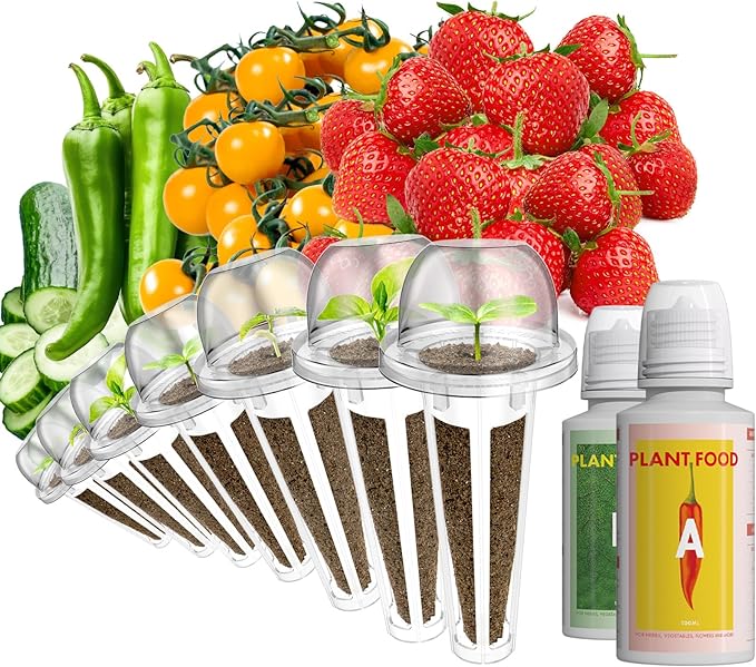 Read more about the article Fruit Seed Kit